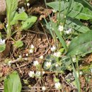 구)도천초등학교 이미지