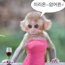낭낭 - 순천시 대전머리길 17 | 낭낭