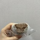 배스킨라빈스판교운중점