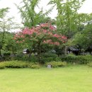 허난설헌생가터 이미지