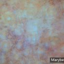 메어리벳의원 이미지