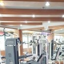 최신헬스클럽 이미지