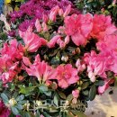 나무와창 이미지