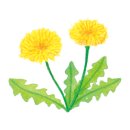 펫살롱 노아 이미지