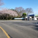 남도삼백리길(11코스) 이미지