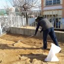 광평초등 병설 이미지