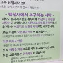센텀세탁 이미지