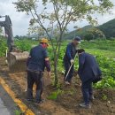 시도19호선 이미지