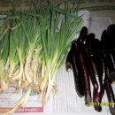 이강농장 이미지