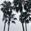 사슴상회 이미지