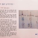 참손가 이미지