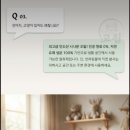 피톤치드 탈취제 본품500ml 리필1000ml 이미지