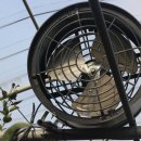 도연농장 이미지