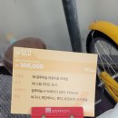 삼천리 딩고 18인치 &amp; 루트 18인치 구매 후기