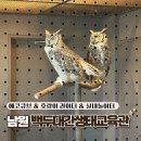 운봉로 | 남원 백두대간 에코큐브 체험 후기 실내놀이터 예약 팁