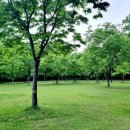 함양제일고등학교 이미지