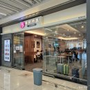 유미식당 | 유미카츠: 김포공항 국내선 돈까스 식당 솔직후기