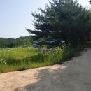 스테이몽 펜션 이미지