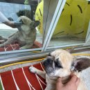 스카이 컴퍼니 | 성수 서울숲 러너들의 성지 굿러너컴퍼니 호카 스카이워드X 구매후기