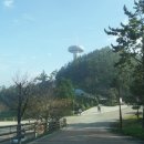 장도청해진유적지 이미지