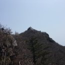 17년 4월 30일 전남 광양시 백운산 산행 세번째 앨범 이미지