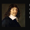 돼지우리 이미지