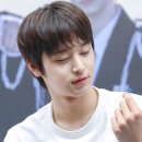 낭만고양이 이미지