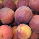 덕천농장 이미지