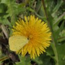 진주 청곡사 목조석가여래삼존좌상 | 청학이 날아와 앉은 명당, 진주 월아산 청곡사