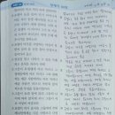 놀라운형제들