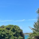 호텔더그랑중문 이미지