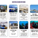 속초 스쿠버다이빙 어드밴스드 자격증 이후 첫 펀다이빙 후기 | OK다이브