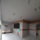 팬더애견샵 이미지