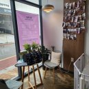 라라도그 이미지