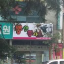 뽑생뽑사 이미지