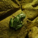 11545-02-35-31 | 2025년10월03일~10월04일, 오스트레일리아(호주) 시드니, ZOO동물원-02