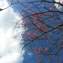 보다-아