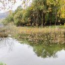 백담소나무계곡펜션 | 남이섬 가을날씨 단풍 절정 10월의 풍경