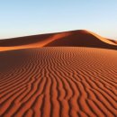 나미브(NAMIB) 네이버블로그