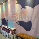 양덕동262 이미지