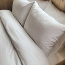 강원세탁산업 이미지