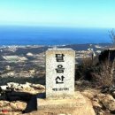 제386차 달음산(588m) 산행 2024년 10월 12일(토) 9시 이미지