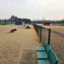 안산 와~ 스타디움 이미지