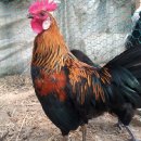 현인농장 이미지