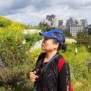 (주)도성개발 - 2391 | (주)도성개발
