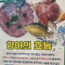 교방민물횟집