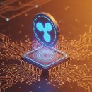 국제컴퓨터세탁 이미지