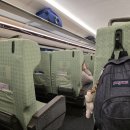 (주)수양우등관광여행사 | 중국 청두 황룡 구채구 자유여행 준비 (기차표, 입장권, 셔틀버스 예약 방법) 완벽 가이드