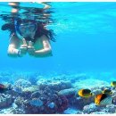 오션투어 이미지