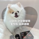 곁애 | 강아지관절영양제 슬개골영양제 포펙트 오래곁애 급여후기
